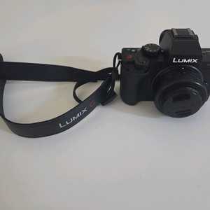 파나소닉 루믹스 G100 블랙 카메라