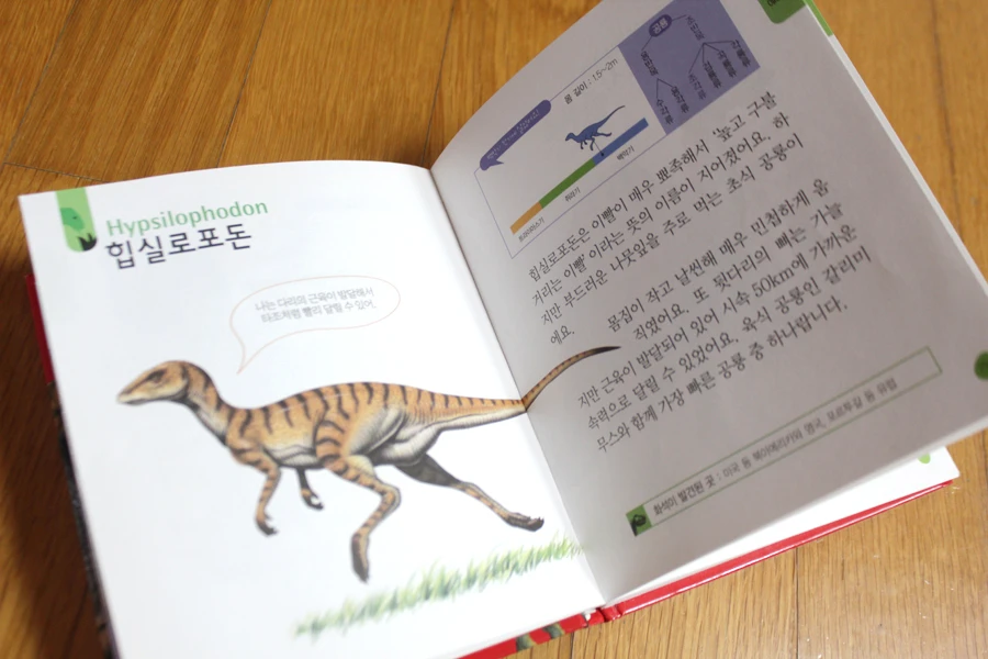 애플비 공룡모형과 함께 배우는 공룡백과 공룡책 유아책 어린이책 보드북 팝업북 그림책 동화책 어린이도서 어린이서적 이미지