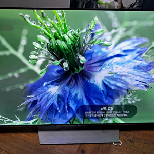 LG OLED55B6K 55인치 티비 이미지