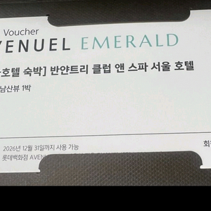 반얀트리 숙박권 디럭스풀 남산뷰 (주말사용가능) 이미지