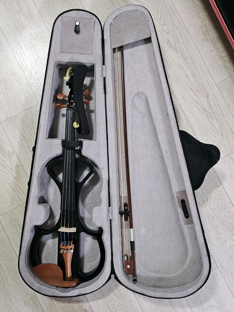 블랙 전자 바이올린 (케이스, 활, 이어폰 포함) 이미지