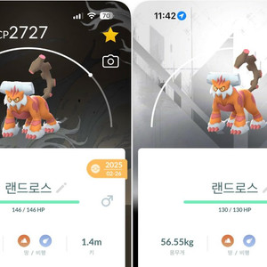 포켓몬고 배경 랜드로스 판매 이미지