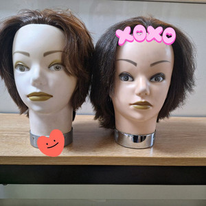 이레사 통가발 이미지