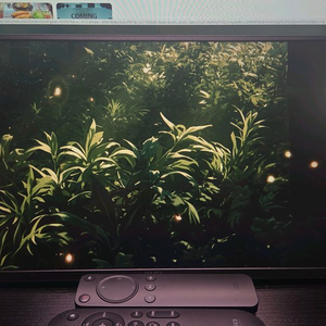 MSI 포터블 모니터 [무결점] 15.6인치 팝니다. 이미지
