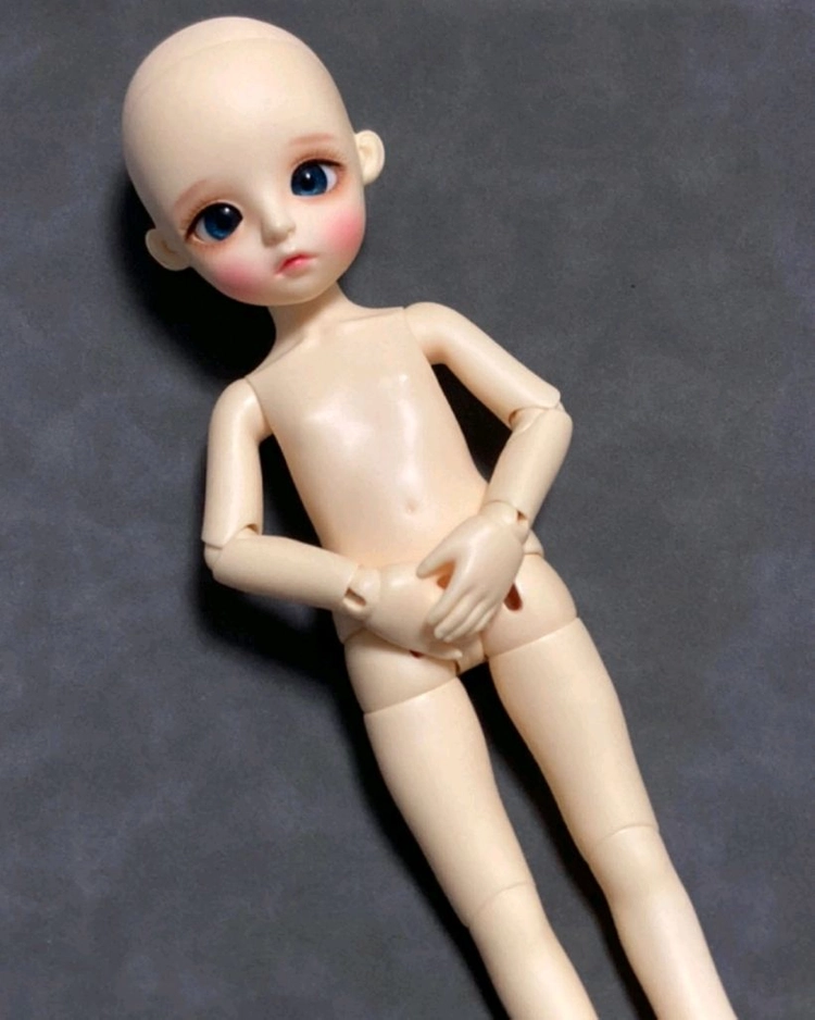 구체관절인형 리나슈슈데이지(가발,옷,양말,신발,보관파우치등 포함) 이미지