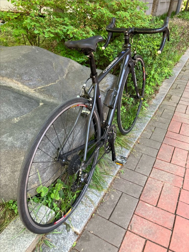 로드자전거 2대 처분 (소라급, 105급) 이미지