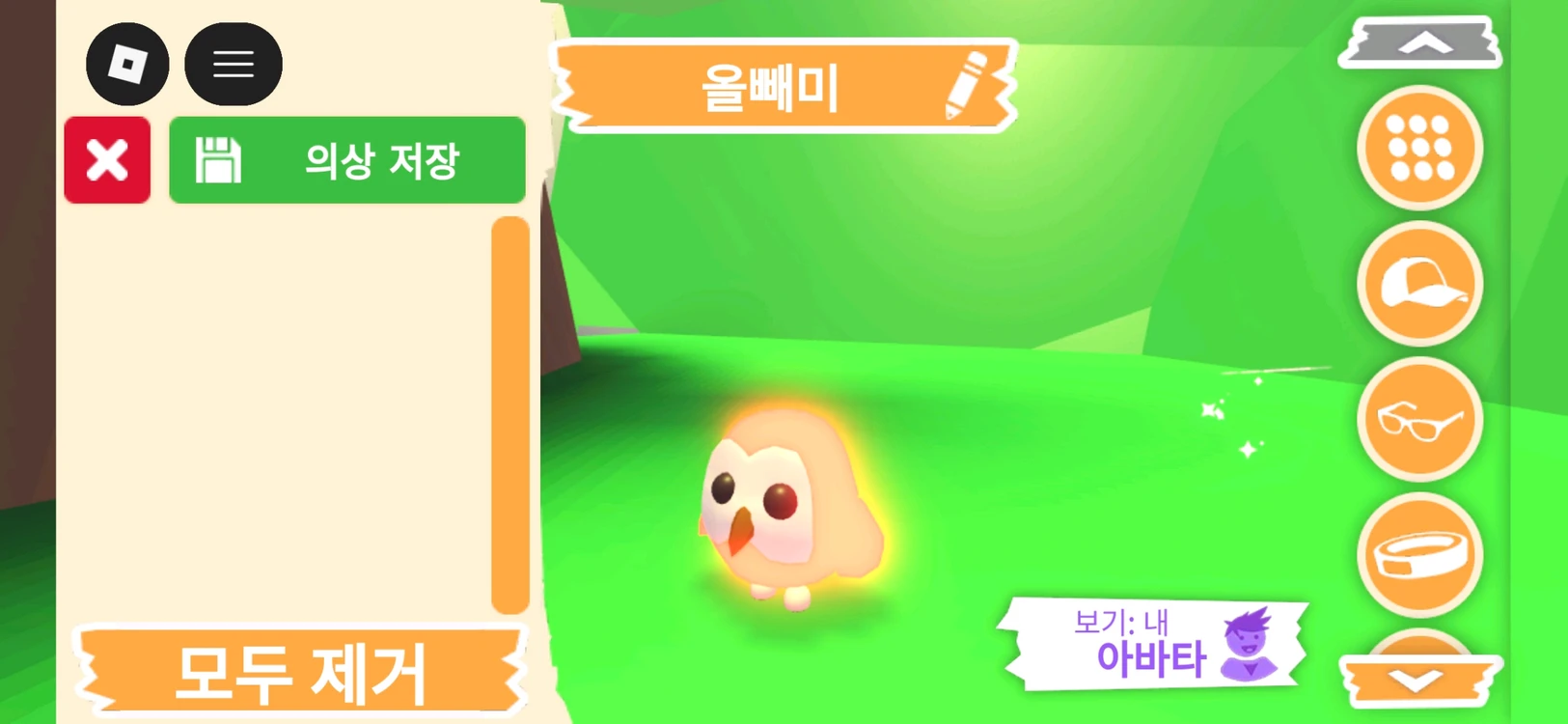 입양하세요 펫 네온 올빼미(부엉이)(네뵝)판매합니다 이미지