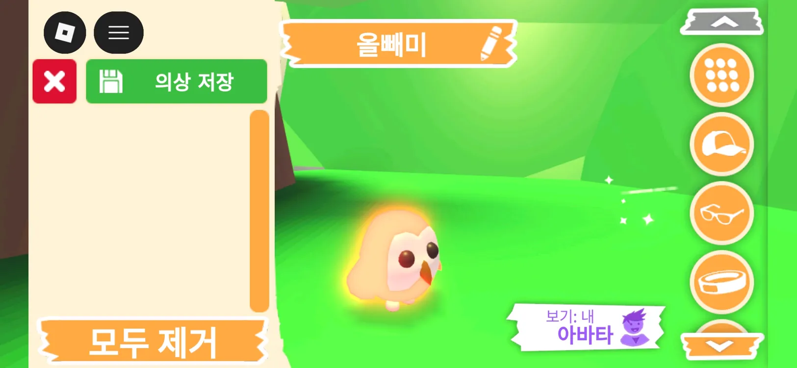 입양하세요 펫 네온 올빼미(부엉이)(네뵝)판매합니다 이미지