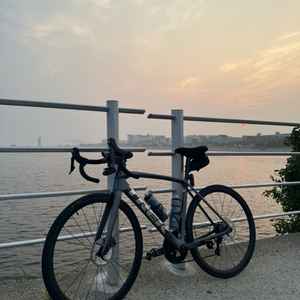 TREK 에몬다 SL6 disc pro 리튬 그레이 이미지