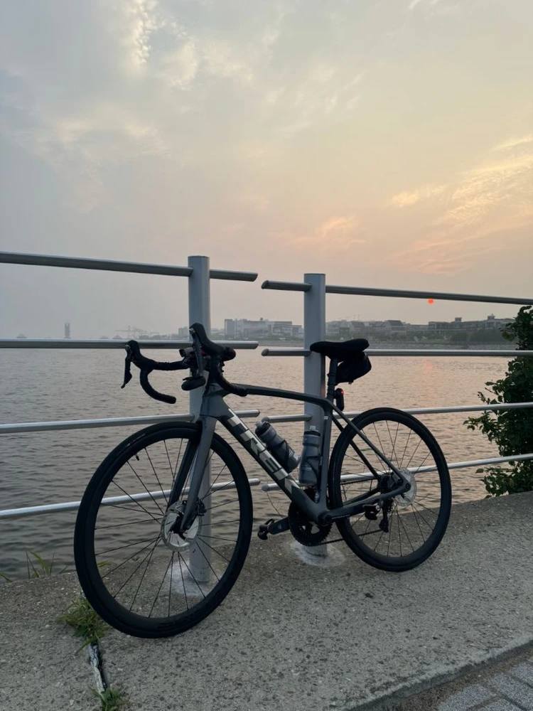 TREK 에몬다 SL6 disc pro 리튬 그레이 이미지
