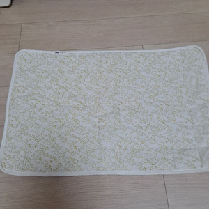 강아지 산책 매트 이미지