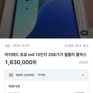 아이패드 13프로 m4 256기가 셀룰러 이미지
