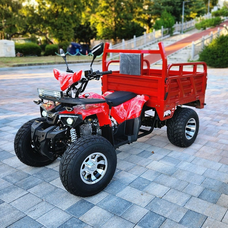 ATV 125cc 농업용 화물오토바이 사륜바이크 과수원 농장 짐운반 - 안심되는 중고거래