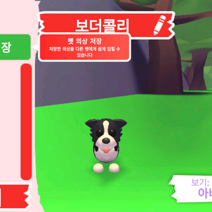 입양하세요 펫 보더콜리 판매합니다 이미지