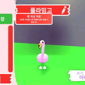 입양하세요 펫 플라밍고 (홍학) 판매합니다. 이미지