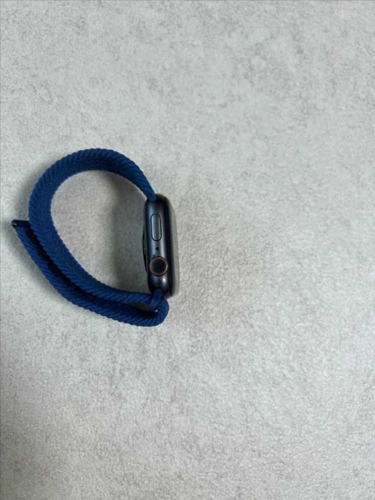 애플워치 5 셀룰러 블랙 44mm 이미지