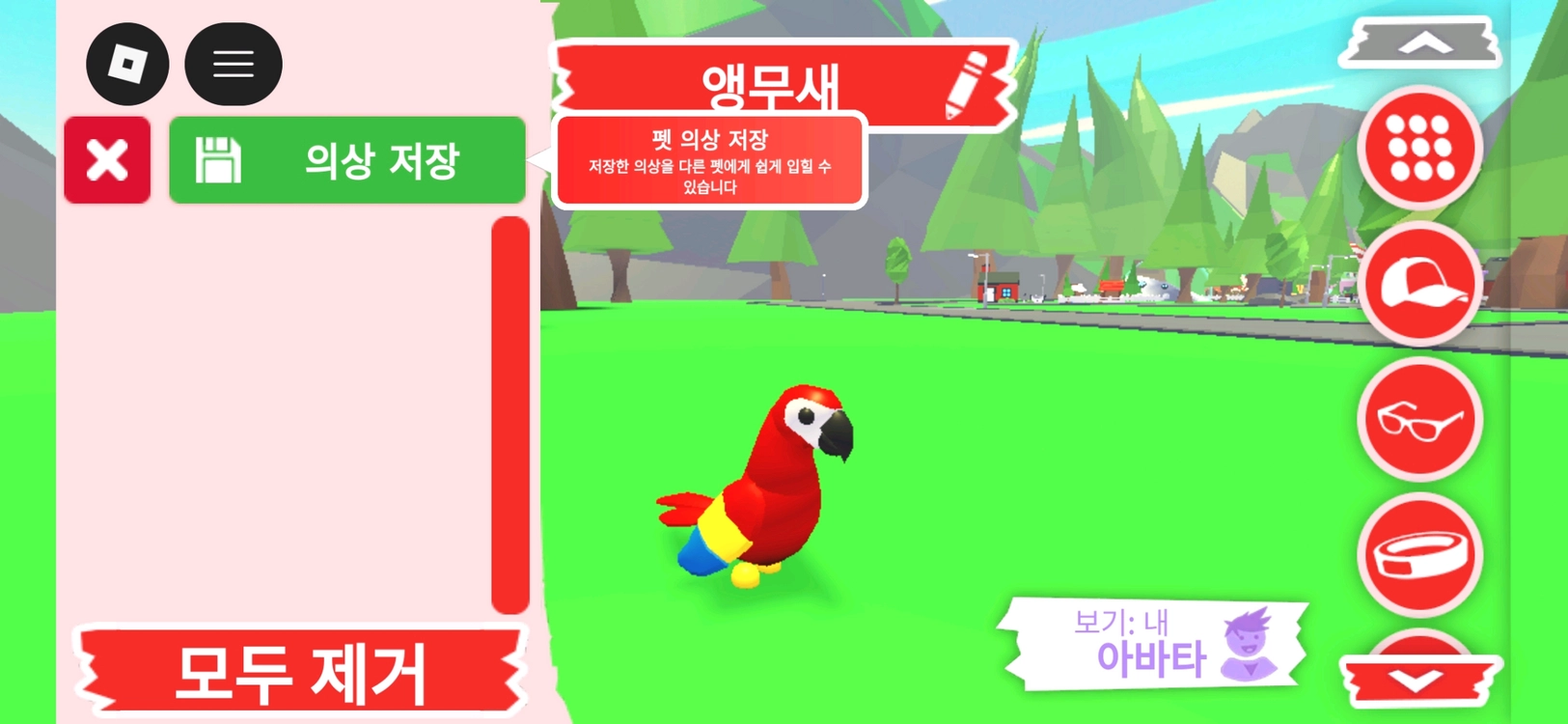 입양하세요 펫 앵무새 판매합니다 이미지