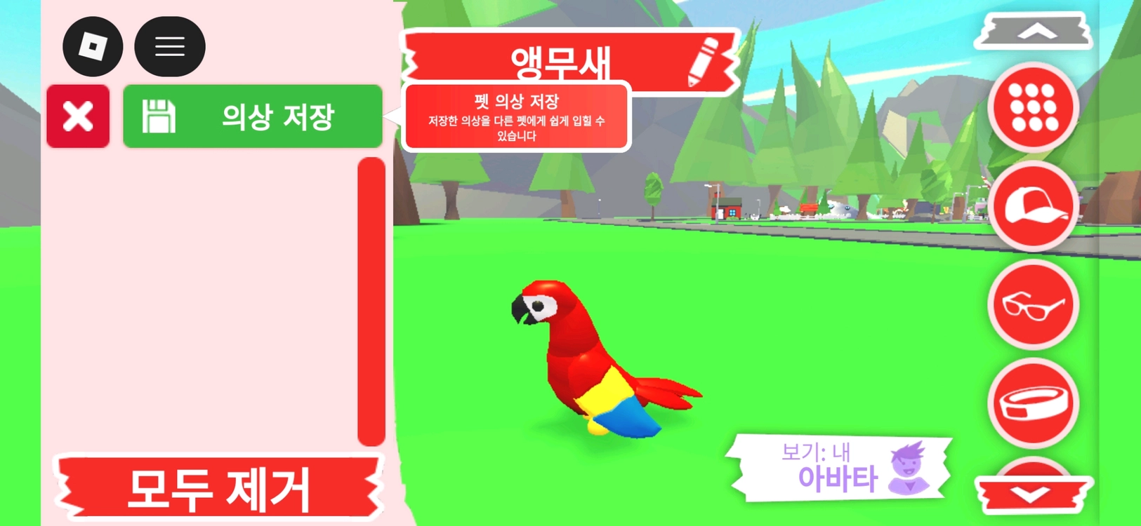 입양하세요 펫 앵무새 판매합니다 이미지