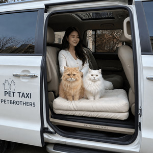[펫택시, 고양이택시] 댕댕이,냥이 PET VIP 비지니스 쿠폰_ “반려동물 전용 Premium서비스 이미지