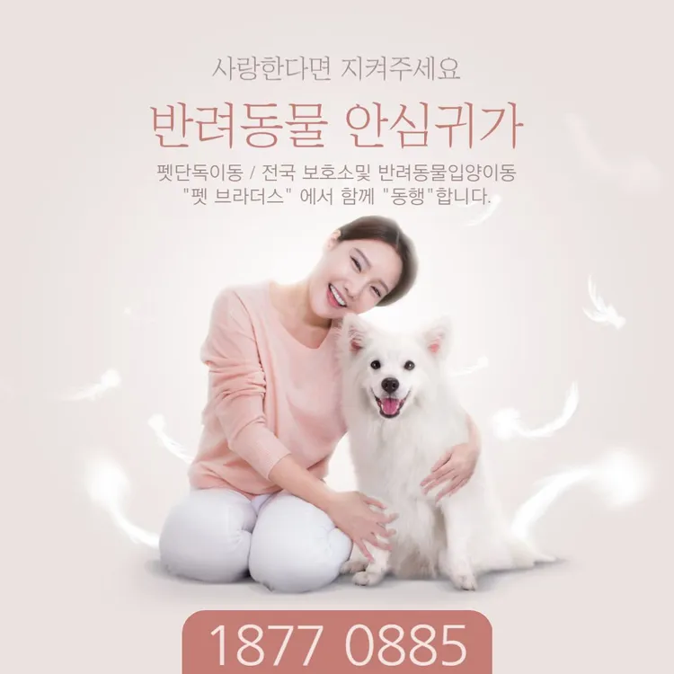 [펫택시, 고양이택시] 댕댕이,냥이 PET VIP 비지니스 쿠폰_ “반려동물 전용 Premium서비스 이미지