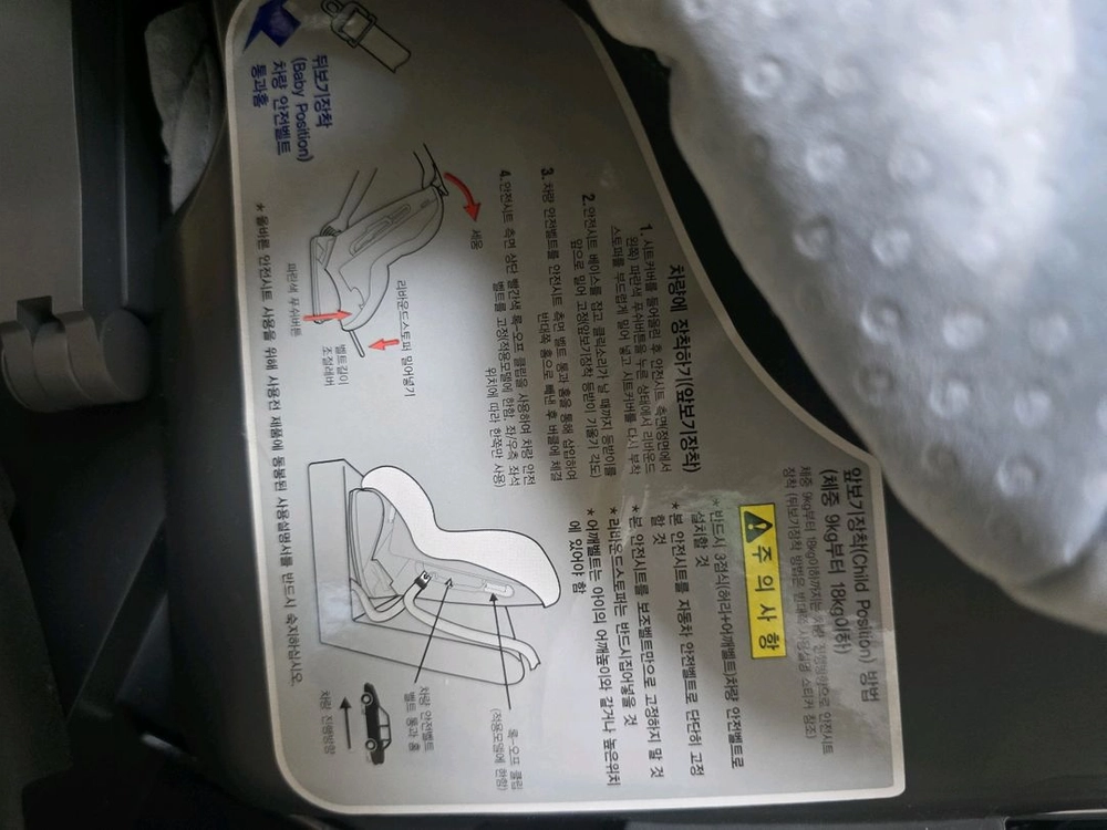 브라이텍스 Meridian 유아용 카시트 이미지