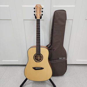 고퍼우드 D바디 Guitar G100 NS 이미지