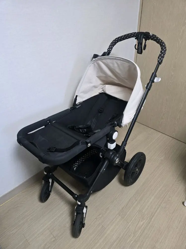 부가부 카멜레온3 이미지