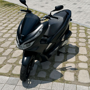 pcx125 19년 6만 혼다 스쿠터 pcx125 pcx 이미지