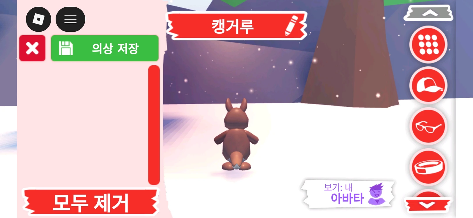 입양하세요 펫 캥거루 판매합니다 이미지