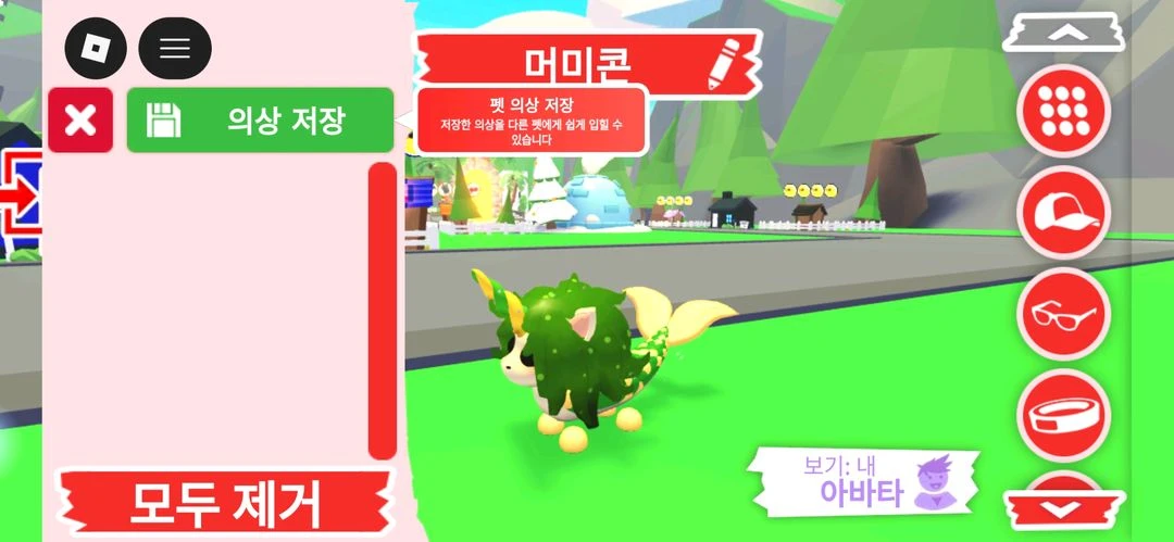 입양하세요 펫 머미콘 판매합니다 이미지