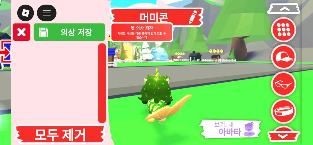 입양하세요 펫 머미콘 판매합니다 이미지