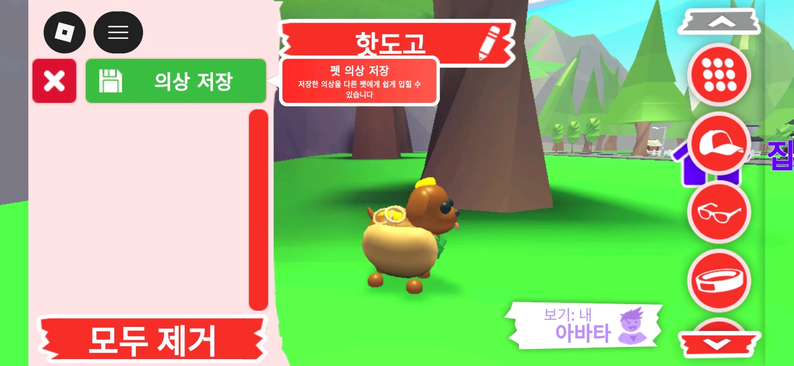 입양하세요 펫 핫도고 판매합니다 이미지