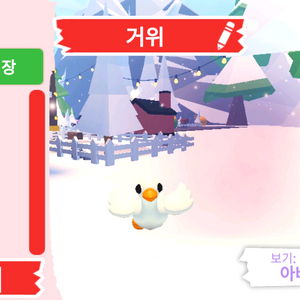 입양하세요 펫 거위 판매합니다 이미지