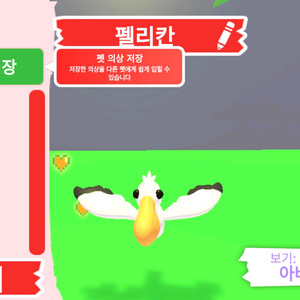 입양하세요 펫 펠리칸 판매합니다 이미지