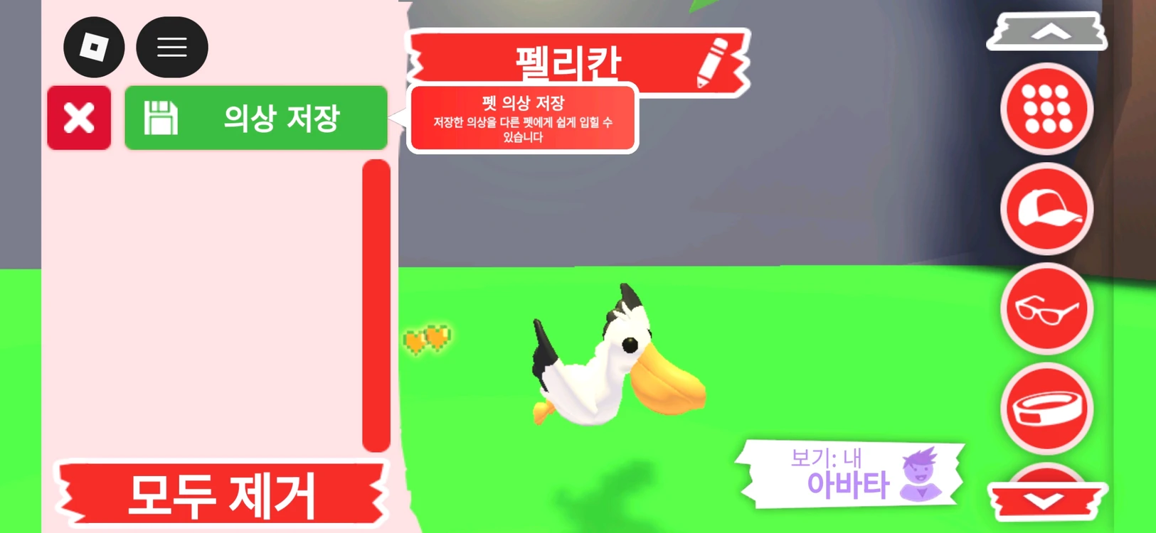 입양하세요 펫 펠리칸 판매합니다 이미지