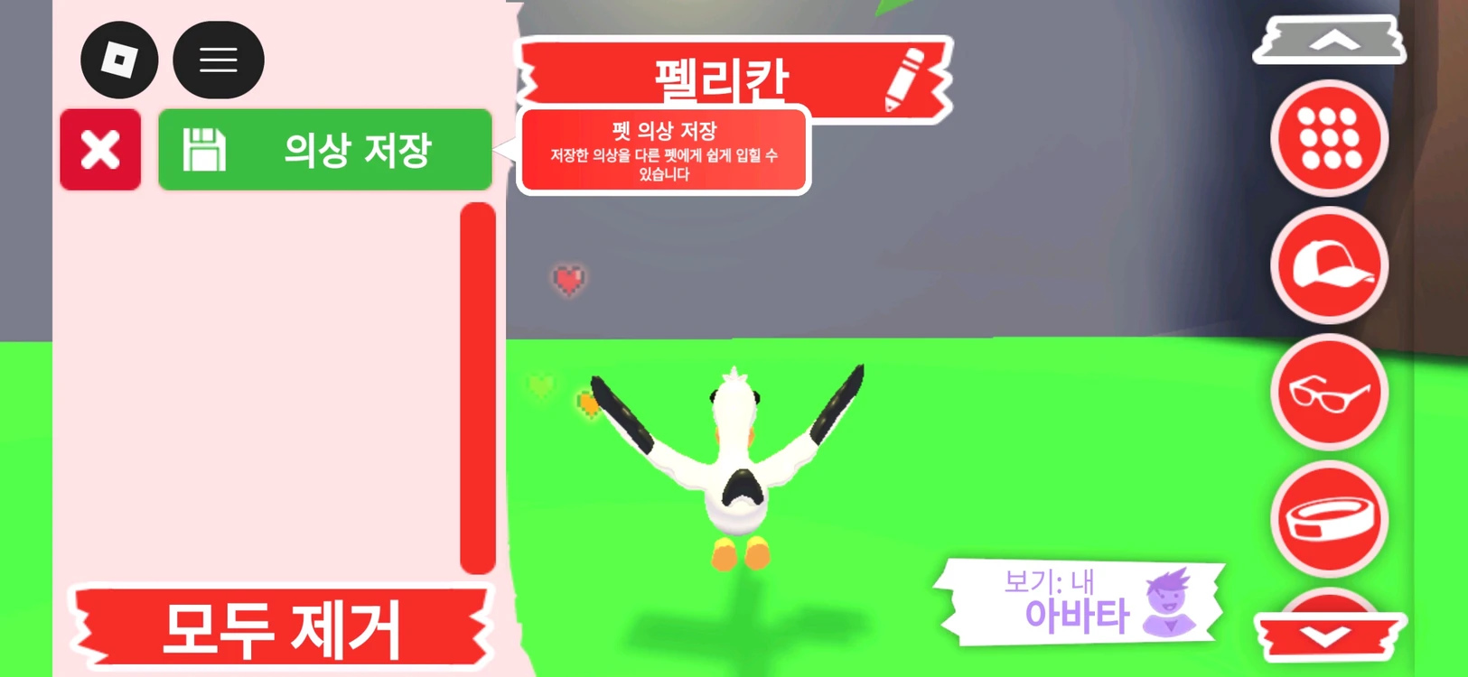 입양하세요 펫 펠리칸 판매합니다 이미지