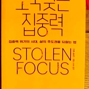 도둑맞은 집중력 - 스토린 포커스 이미지