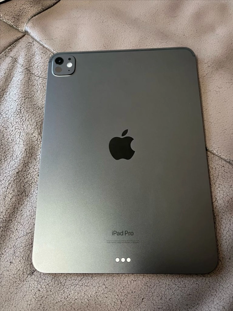 아이패드 프로 11 M4 256GB WIFI 스페이스블랙 이미지