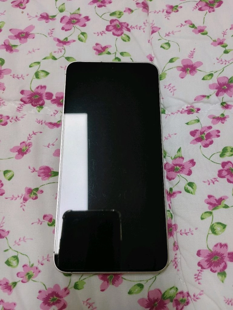 자급제 AA급 ㅡ 갤럭시 S24 플러스 256GB 개통일 보세요 이미지