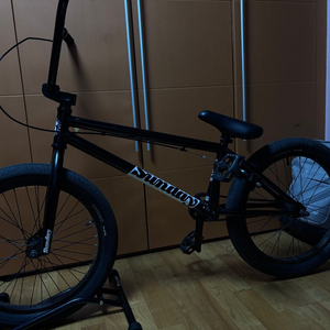 Sunday BMX 자전거 20인치 이미지