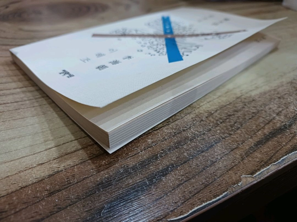 한국 최초의 추리소설 _쌍옥적 / 이해조.저 이미지
