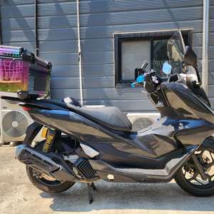 25년식 혼다 PCX 125 ABS 카본 판매 이미지