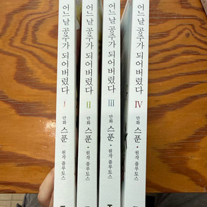 어느날 공주가 되어 버렸다 어공주 1~4권 이미지