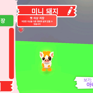 입양하세요 펫 네온 미니 돼지 (네미돼)판매합니다 이미지