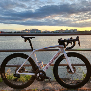 TREK 2023 에몬다 SL7 + zipp404 판매 이미지