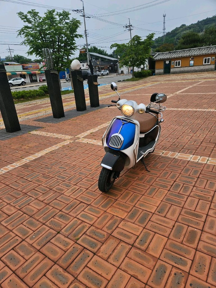 카멜레온도장 이미지