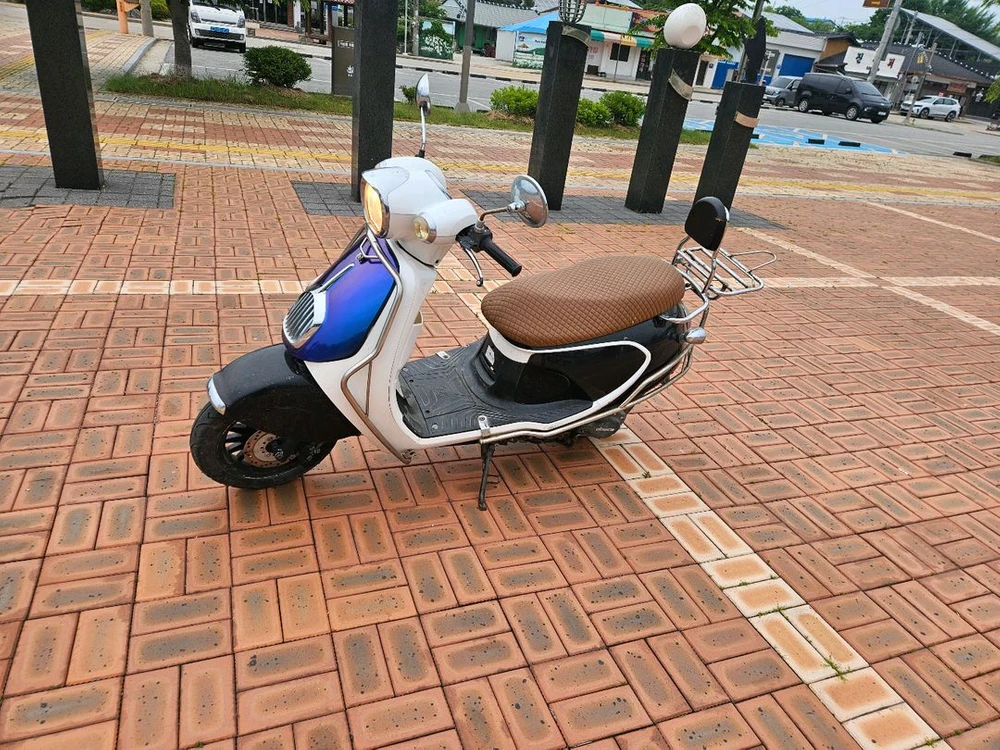 카멜레온도장 이미지