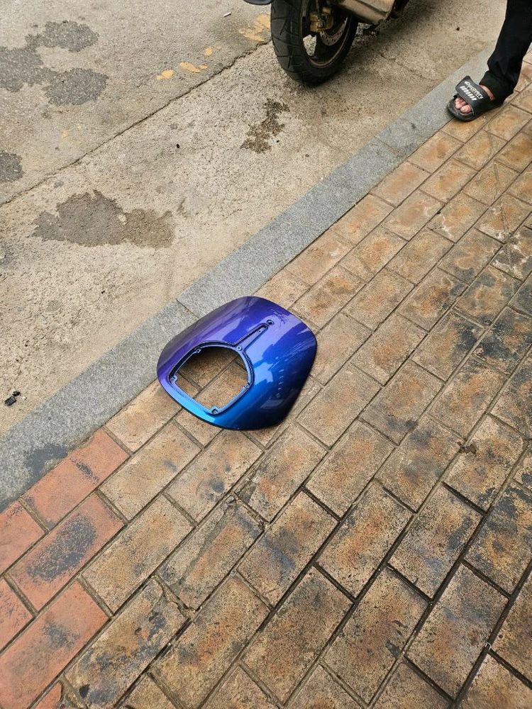 카멜레온도장 이미지