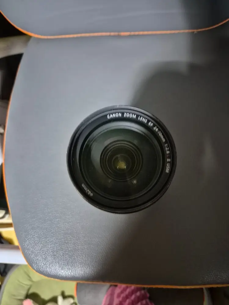 24-70mm f/2.8 mark2 신계륵 이미지