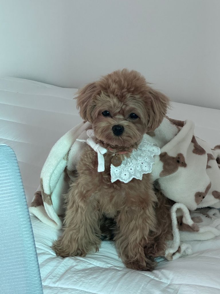 프로필 이미지